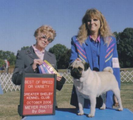 Hoss Best of Breed
